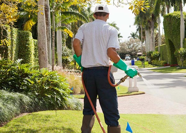 About Hazelhurst WI Pest Control